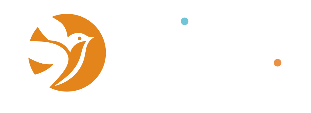 Allie-strategie_logo-principal-couleurs-blanc-rond-orange